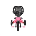 Tricycle REVEL Pink GRUNGE /bike function/