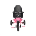 Tricycle VOYAGE Pink GRUNGE /bike function/